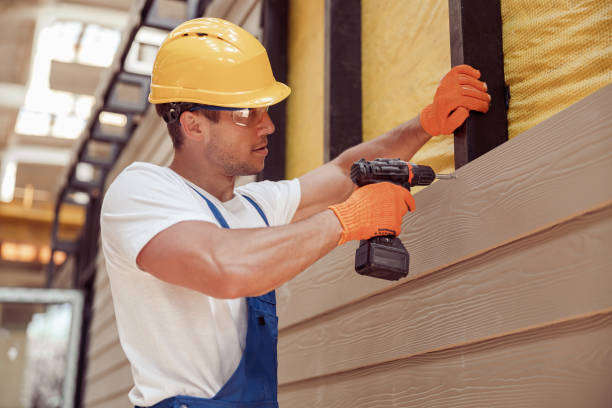 Best Vinyl Siding Installation  in Ashdown, AR